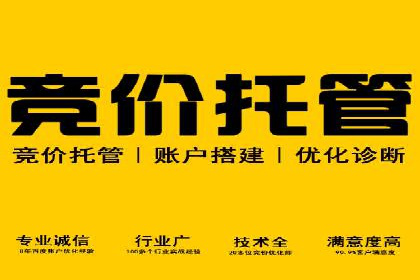 竞价推广SEM托管成功案例：从零到一的突破